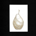 050-Golden-Pear-10x15