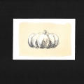 050-The-magic-pumkin-15x10